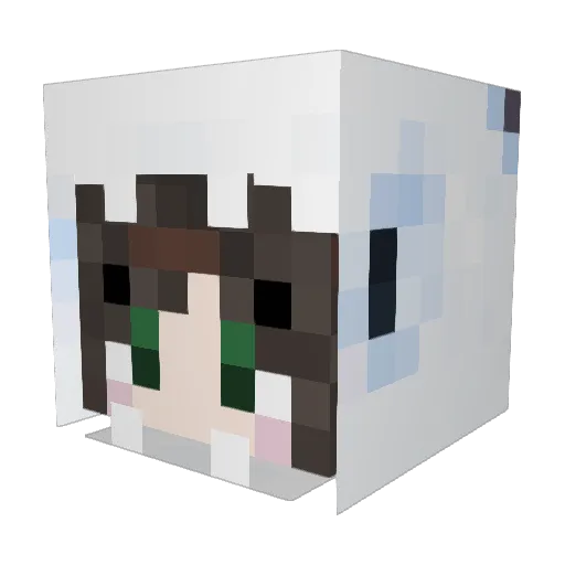 engirt Minecraft avatar head, 3D render