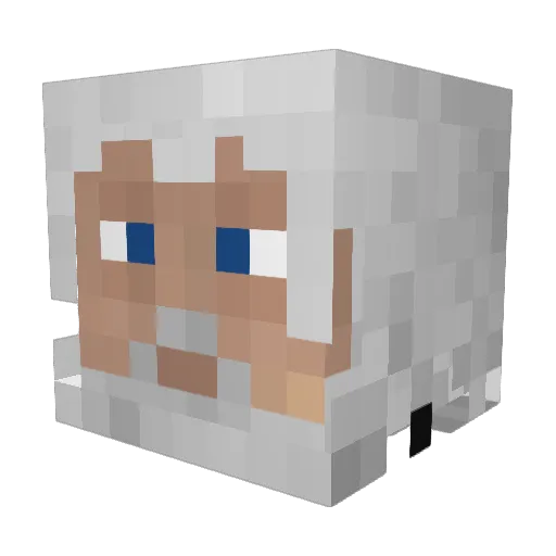 enigma_master Minecraft avatar head, 3D render
