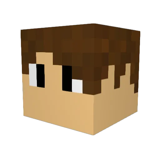 enjoy12345 Minecraft avatar head, 3D render