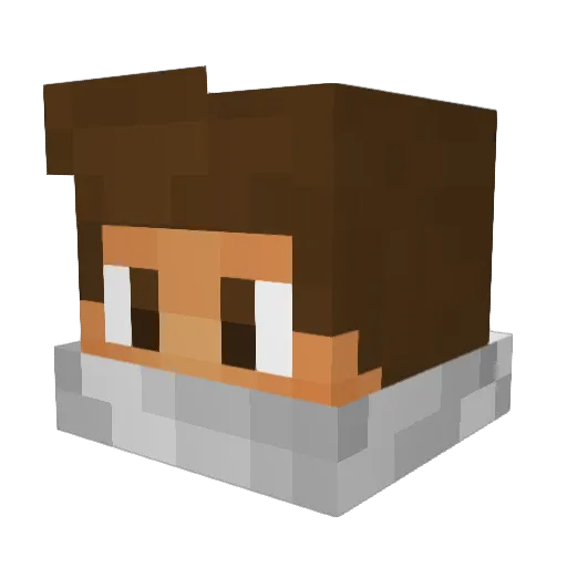 enjoy2013 Minecraft avatar head, 3D render