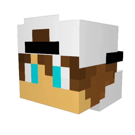 enkikez1 Minecraft avatar head, 3D render