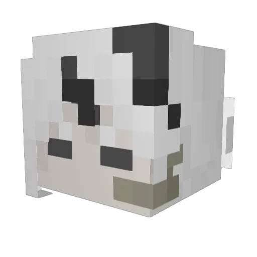 enlxmfflsdiz Minecraft avatar head, 3D render