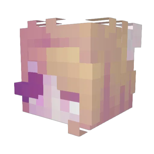 enoikosges Minecraft avatar head, 3D render