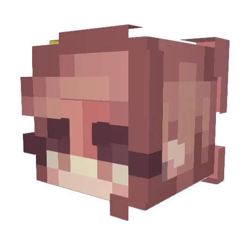 enoki5958 Minecraft avatar head, 3D render