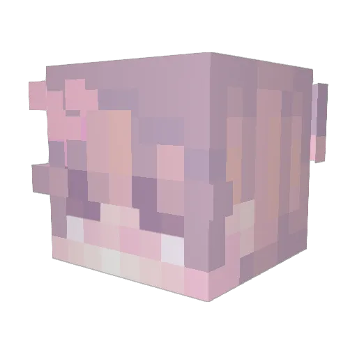 enoniia Minecraft avatar head, 3D render