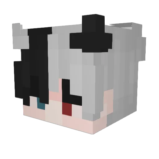 enosonnengott Minecraft avatar head, 3D render