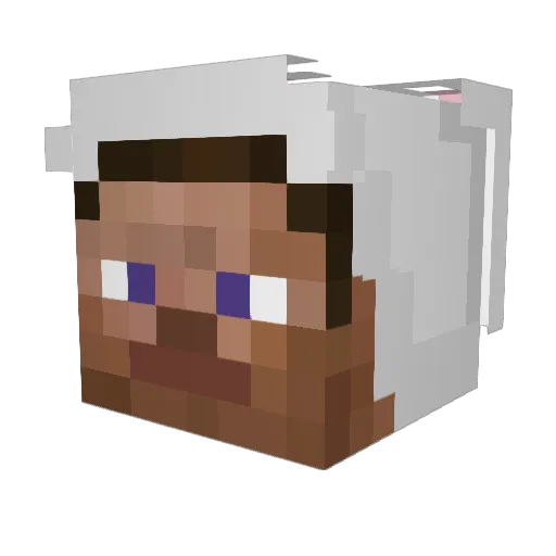 enroladobx Minecraft avatar head, 3D render