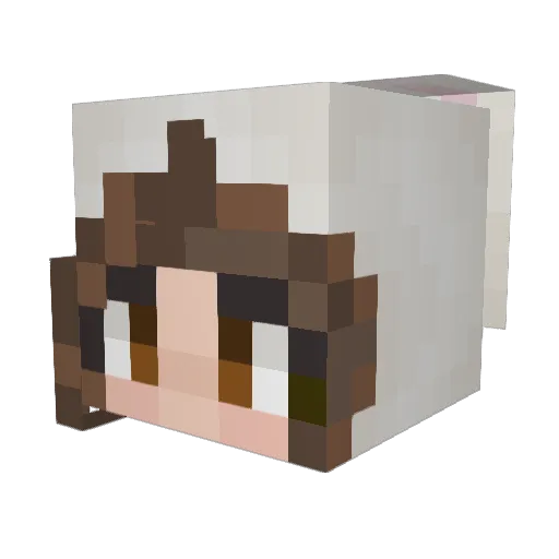 ensaymama Minecraft avatar head, 3D render