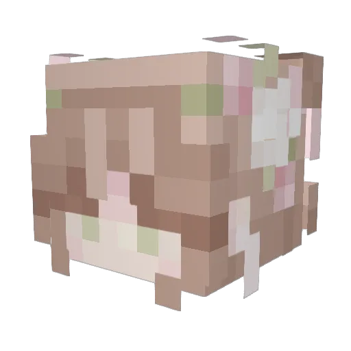 ensgam Minecraft avatar head, 3D render