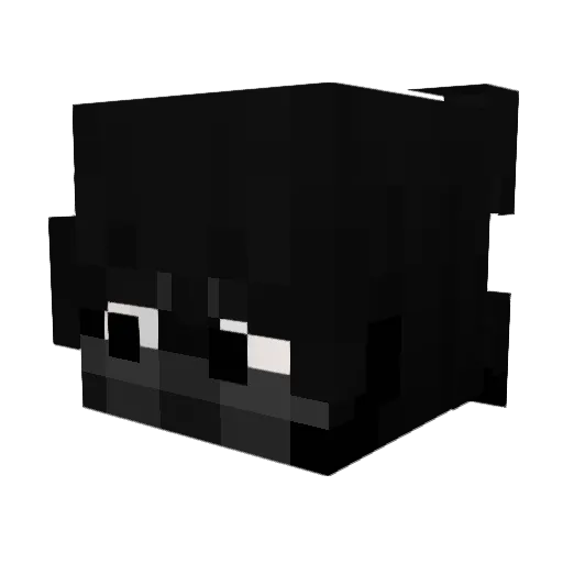 ensuree Minecraft avatar head, 3D render