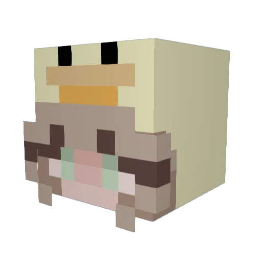 entcheneatchips Minecraft avatar head, 3D render