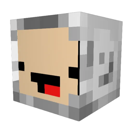 enternewname Minecraft avatar head, 3D render