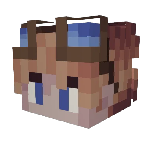 enterwoke Minecraft avatar head, 3D render