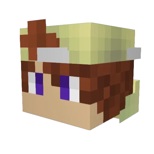 entity916 Minecraft avatar head, 3D render