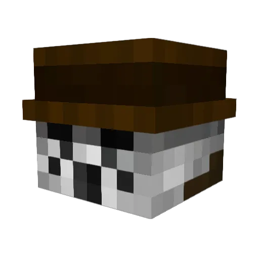 entron Minecraft avatar head, 3D render