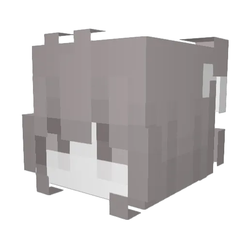 entropu Minecraft avatar head, 3D render