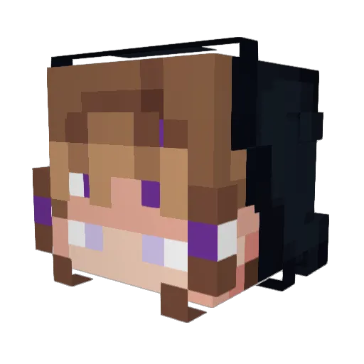 entropycat Minecraft avatar head, 3D render