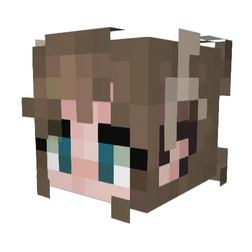 entropyial Minecraft avatar head, 3D render