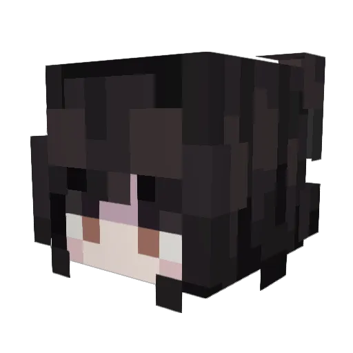 entusiasmo Minecraft avatar head, 3D render
