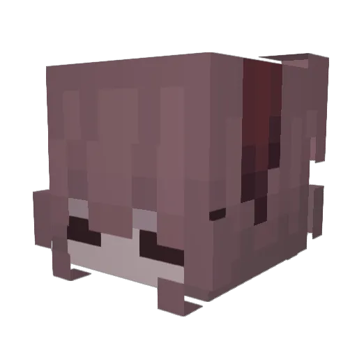 enubii Minecraft avatar head, 3D render
