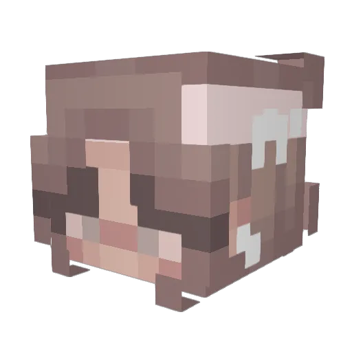 enugget10 Minecraft avatar head, 3D render