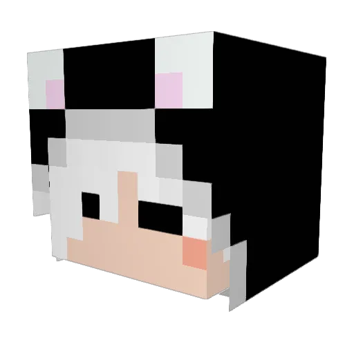 enun_NN Minecraft avatar head, 3D render