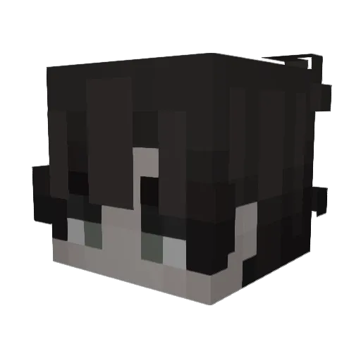 env Minecraft avatar head, 3D render
