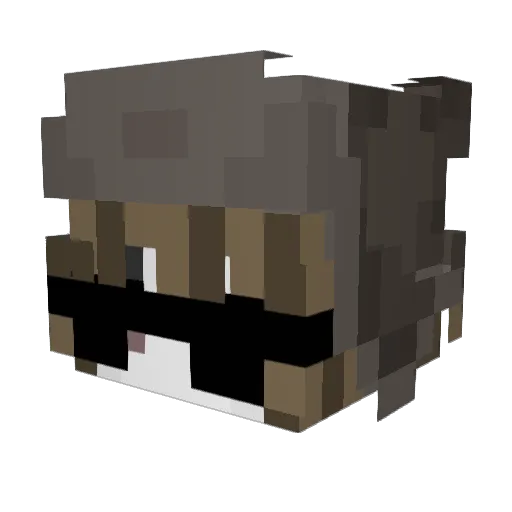 envenenar Minecraft avatar head, 3D render