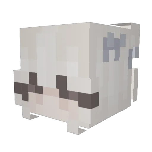 enviah Minecraft avatar head, 3D render