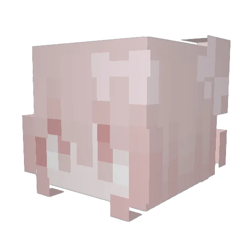 enviiiiiiiiiii Minecraft avatar head, 3D render