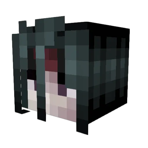 envy4004 Minecraft avatar head, 3D render
