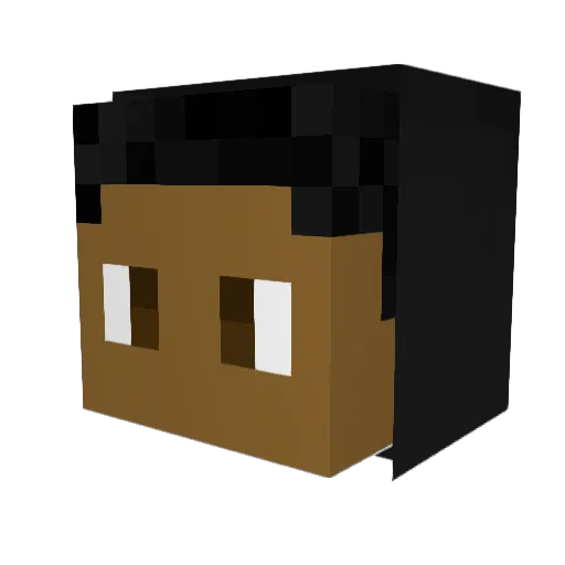 envyTag1 Minecraft avatar head, 3D render