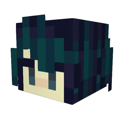 envyfan53 Minecraft avatar head, 3D render