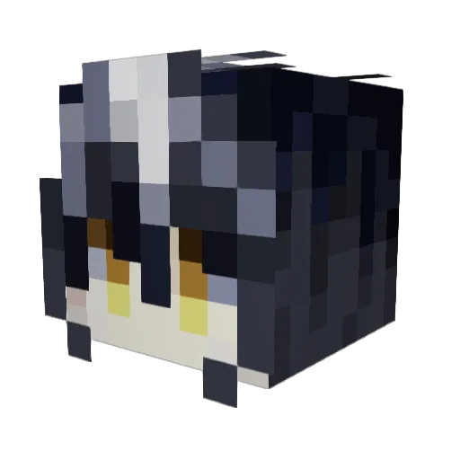 envynny Minecraft avatar head, 3D render