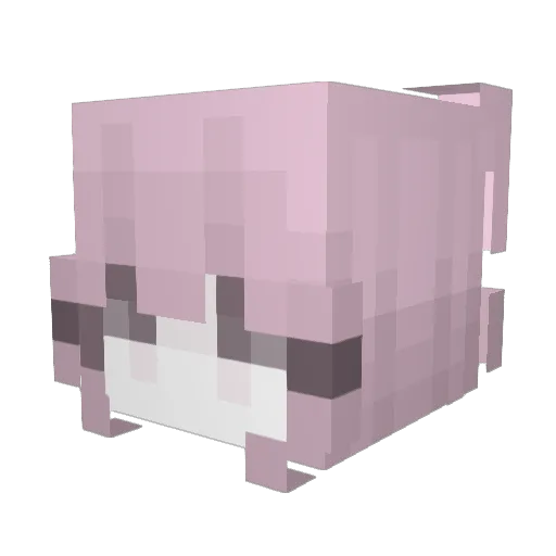 envytheprogress Minecraft avatar head, 3D render