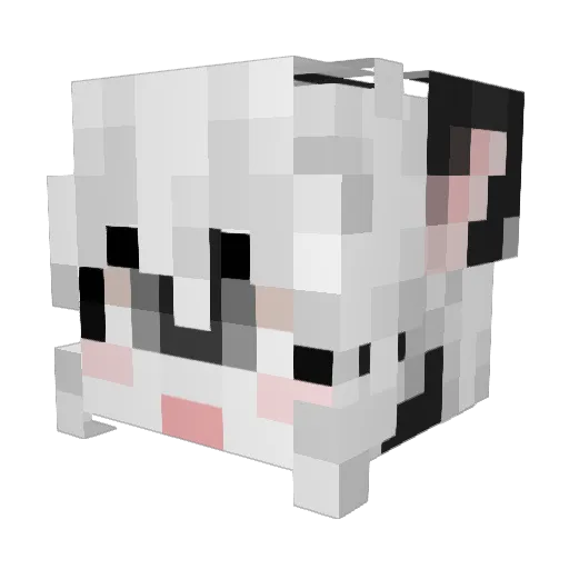 eny0ng Minecraft avatar head, 3D render
