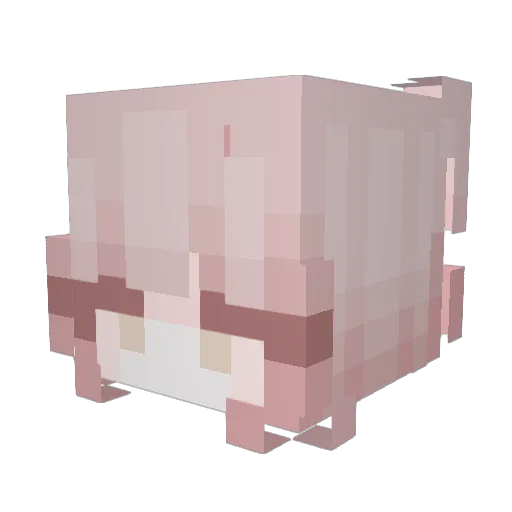 enyosucks Minecraft avatar head, 3D render