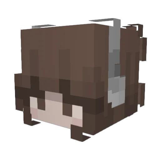 enypsilona Minecraft avatar head, 3D render