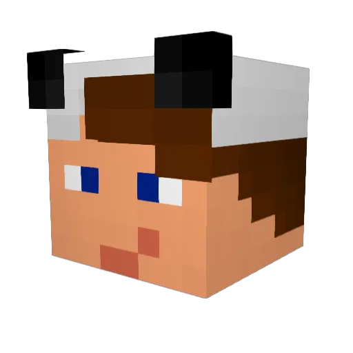 enzeromp Minecraft avatar head, 3D render