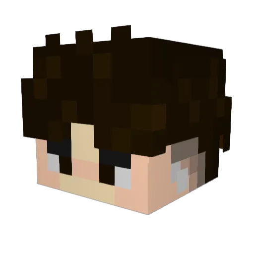 enzitofacha Minecraft avatar head, 3D render