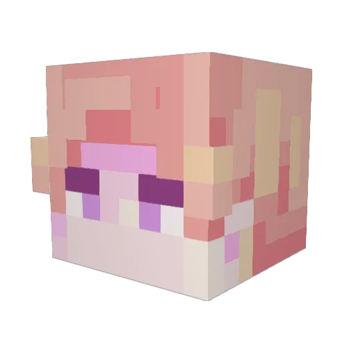enzolamenace Minecraft avatar head, 3D render