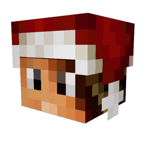 enzotropcooll Minecraft avatar head, 3D render