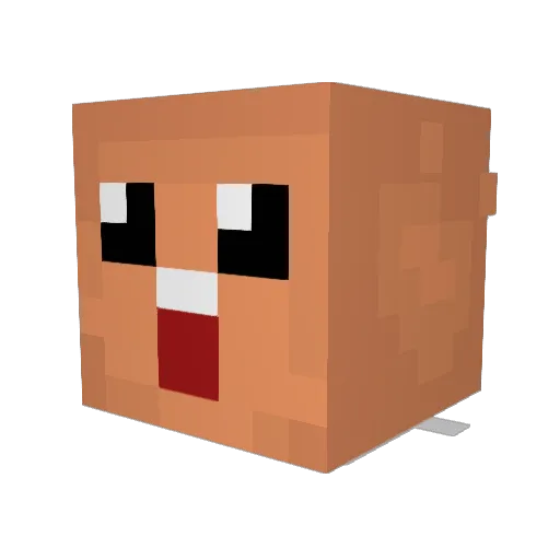 enzymesforlyfe Minecraft avatar head, 3D render