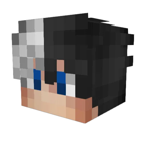 eoFlashh Minecraft avatar head, 3D render