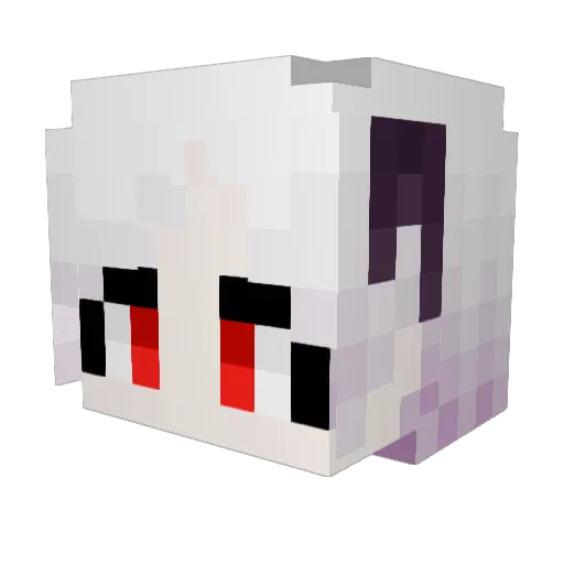 eocndrnlcksg Minecraft avatar head, 3D render