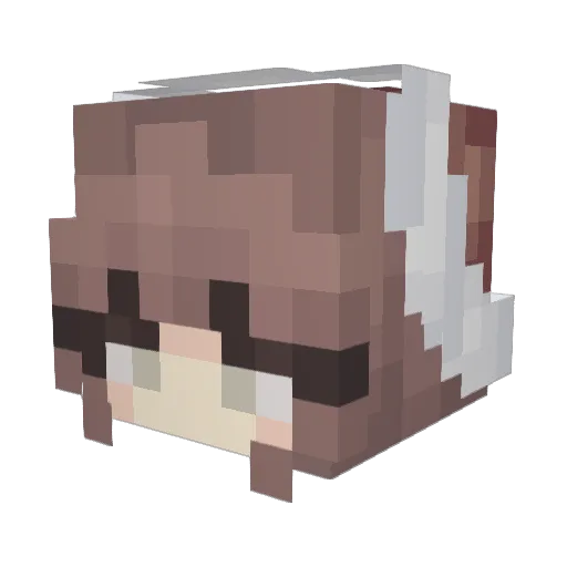eofitg Minecraft avatar head, 3D render