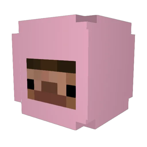 eomyeeun Minecraft avatar head, 3D render