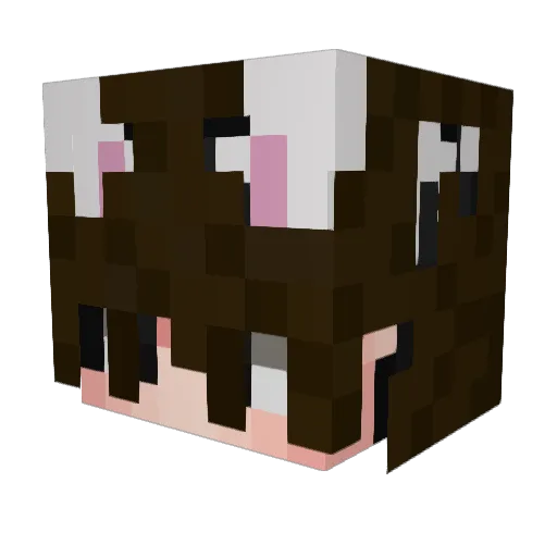 eonpls Minecraft avatar head, 3D render