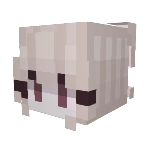 eoo Minecraft avatar head, 3D render