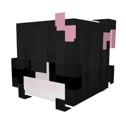 ep08 Minecraft avatar head, 3D render